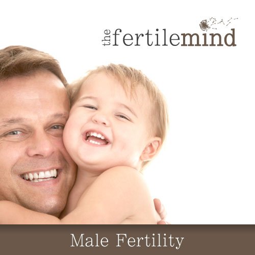 Male Fertility